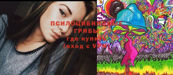 соль ск Медвежьегорск